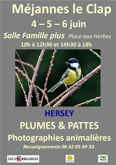 Affiche expo photos remi hersey 2